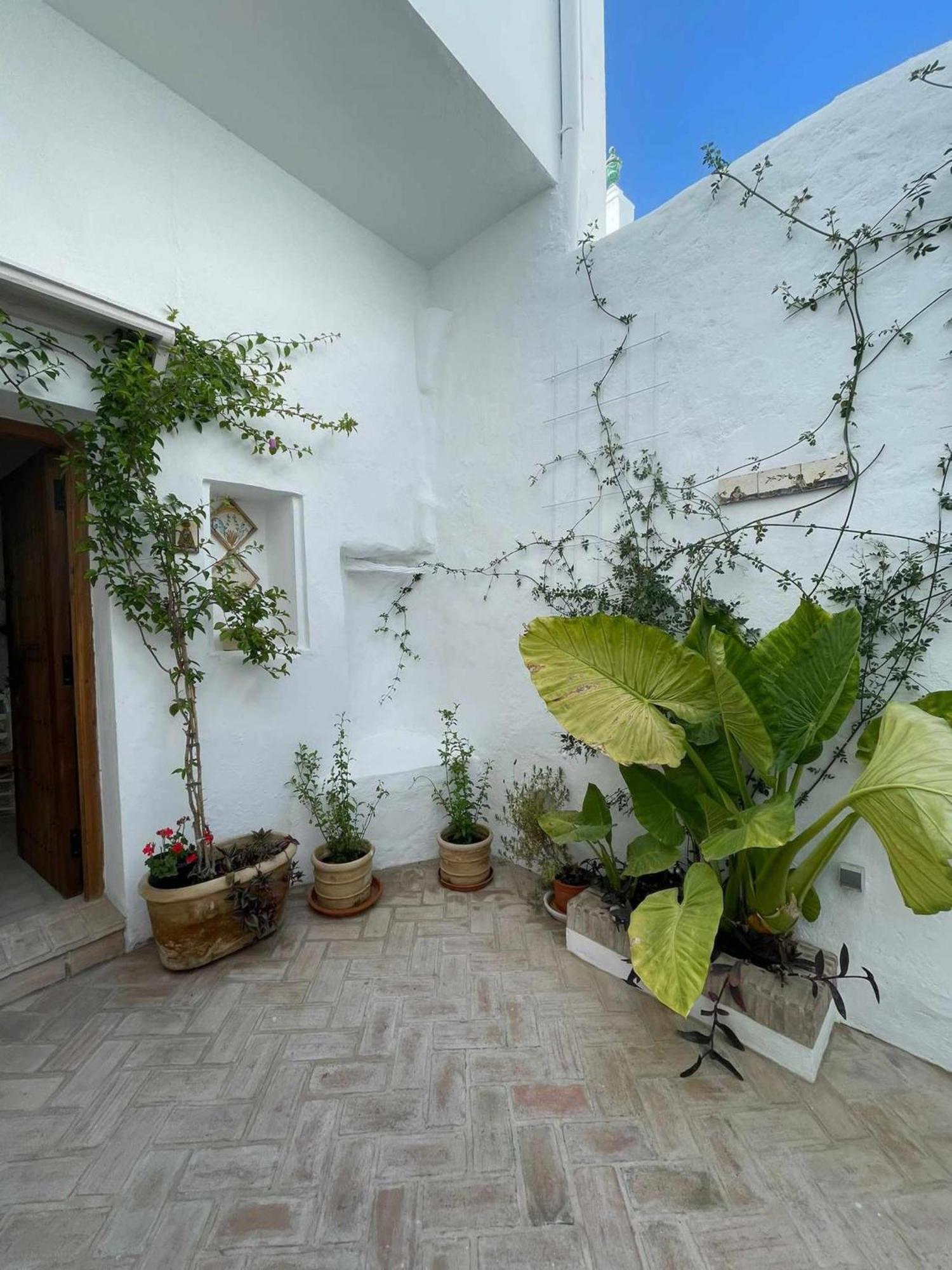 Vila Antiqua Centro De Vejer Con Wifi Grupo Ac Gestion Vejer de la Frontera Exteriér fotografie